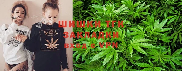 мяу мяу мука Арсеньев