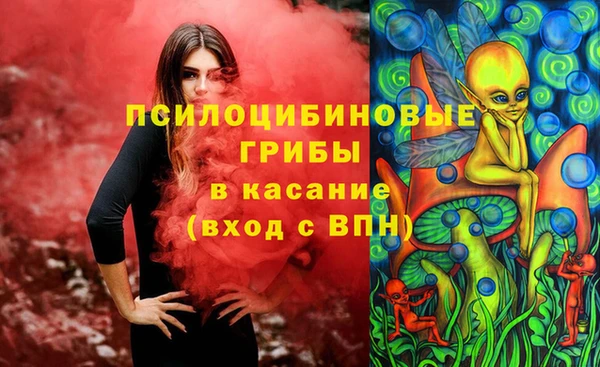 мяу мяу мука Арсеньев
