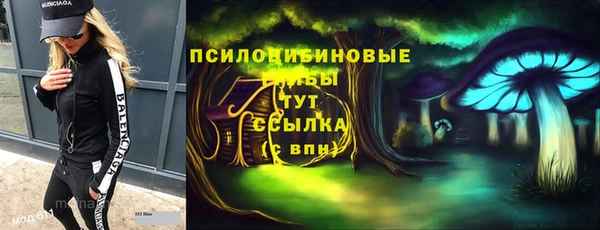 дурь Аркадак