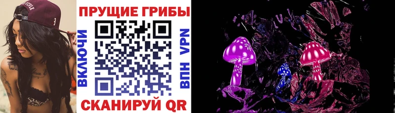 где продают   Окуловка  Галлюциногенные грибы мицелий 